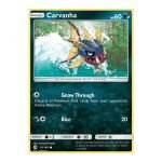 Carvanha Sun & Moon 81